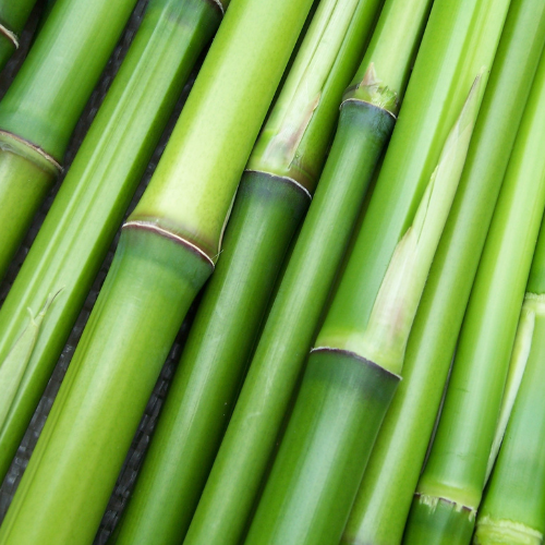 Illustration — Matabledeco