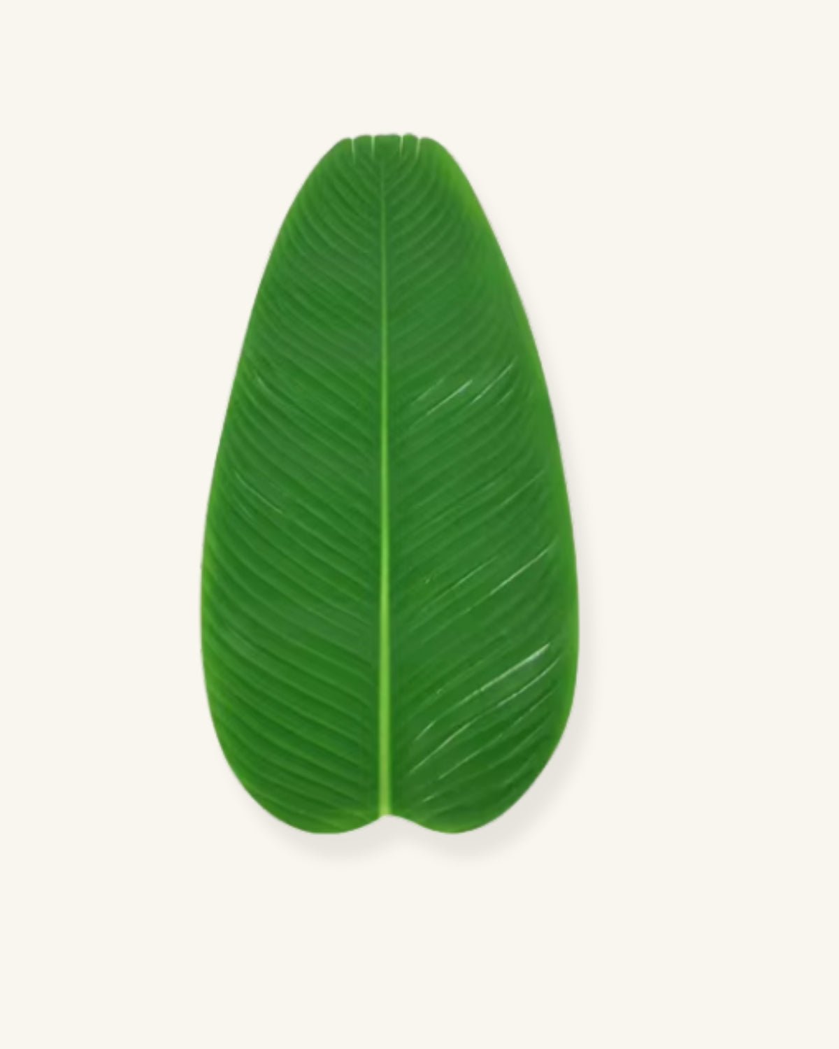 Feuille set de table Vert - Matabledeco