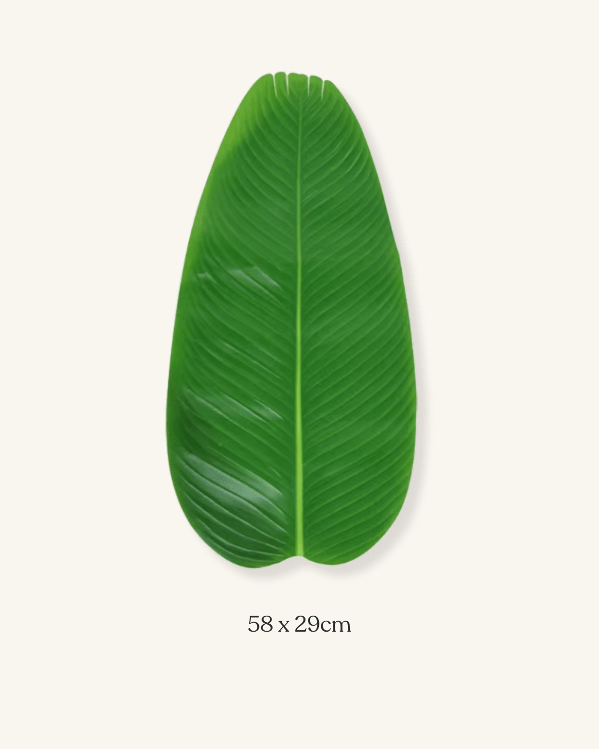 Feuille set de table Vert - Matabledeco
