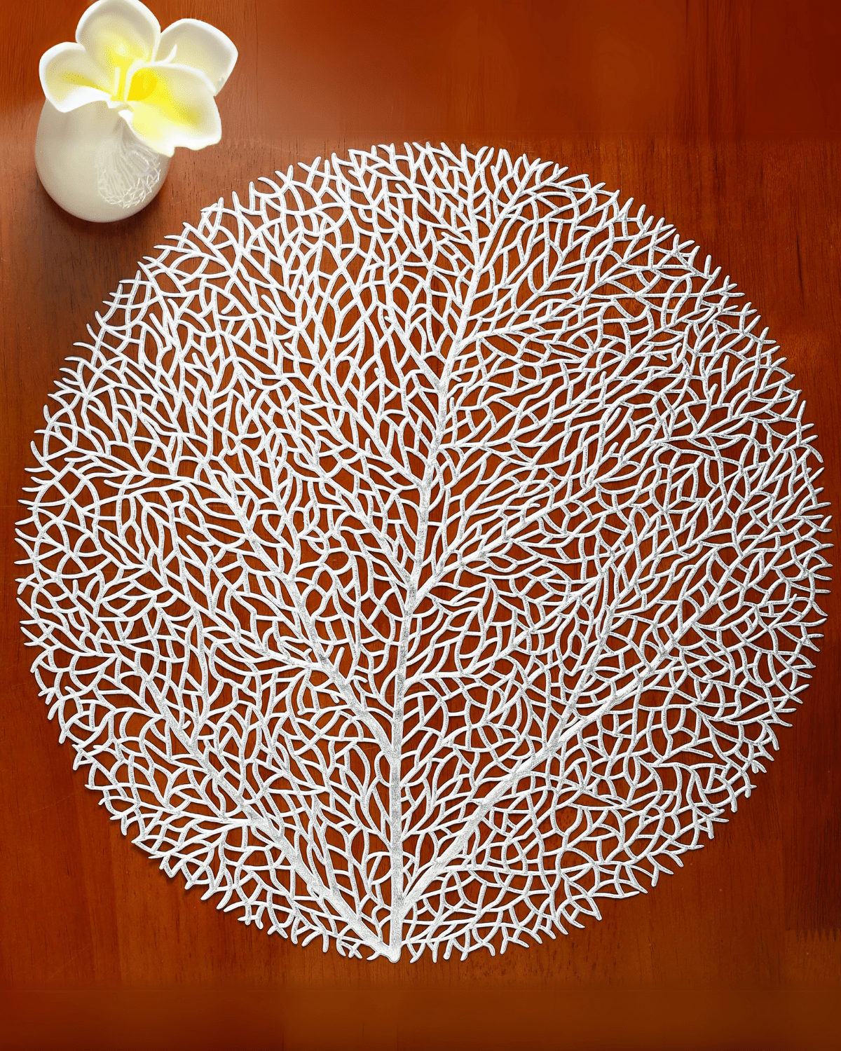 set de table pvc Argenté - Matabledeco