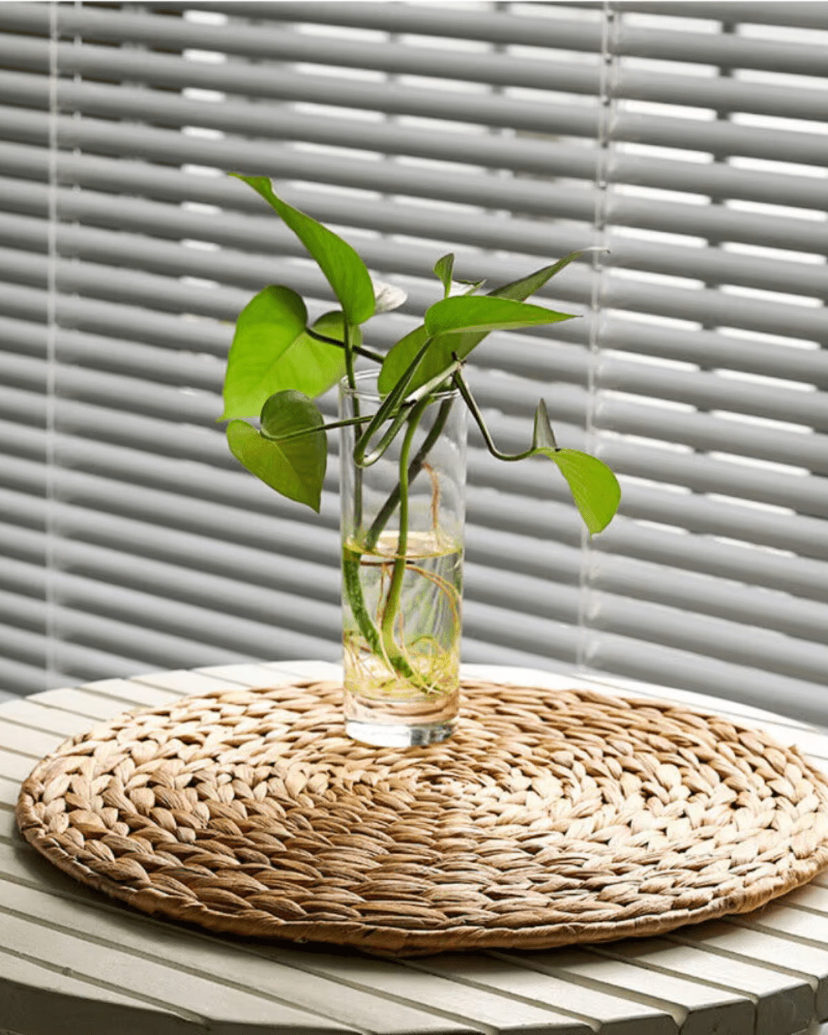 Set de table rond osier Osier - Matabledeco
